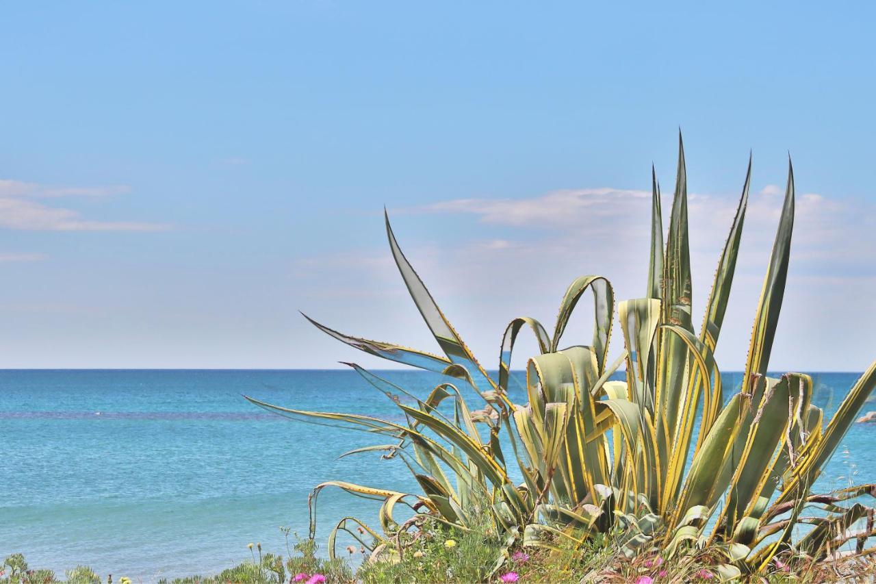 Holiday Home Arzilli Follonica Εξωτερικό φωτογραφία