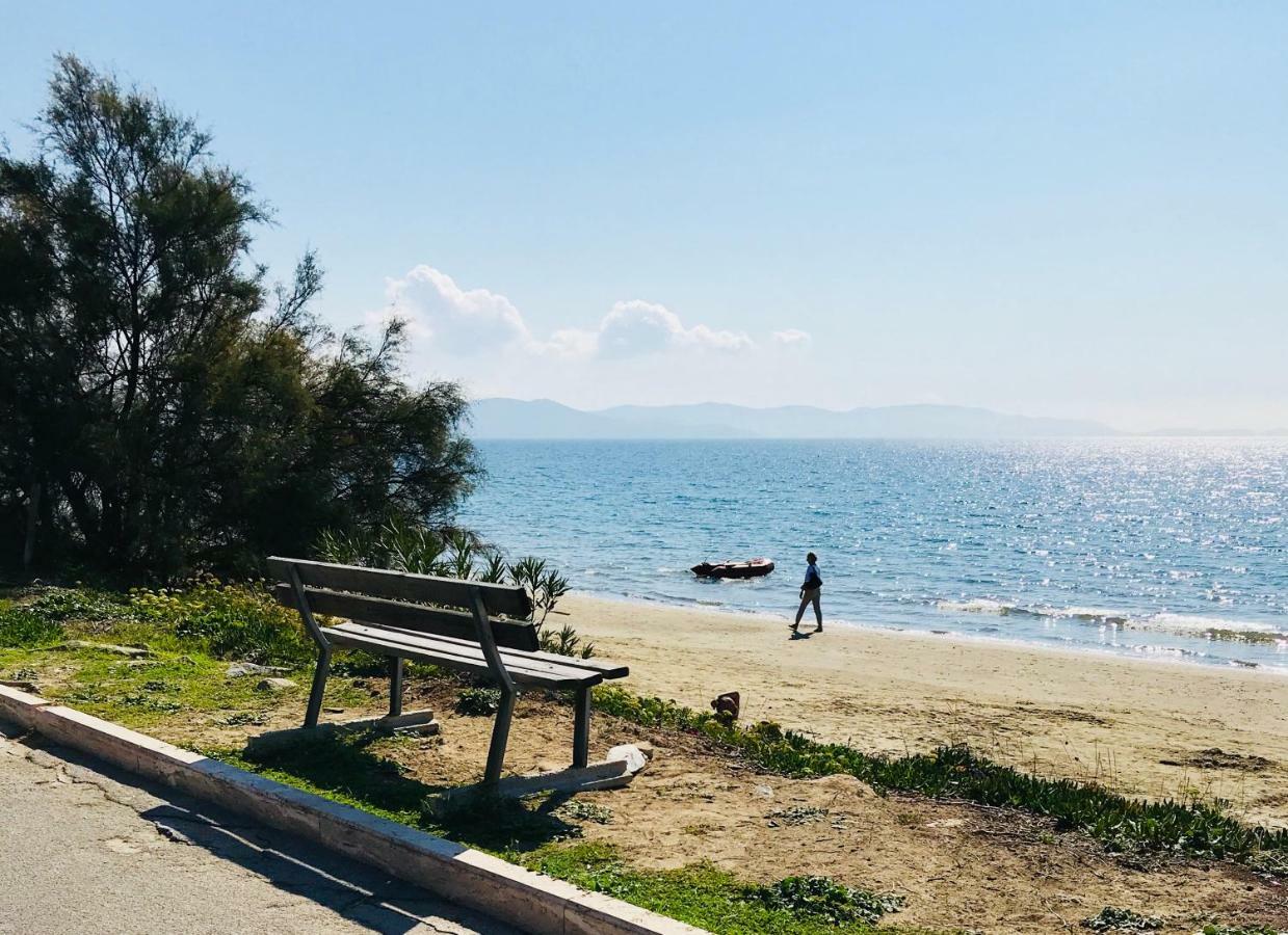 Holiday Home Arzilli Follonica Εξωτερικό φωτογραφία